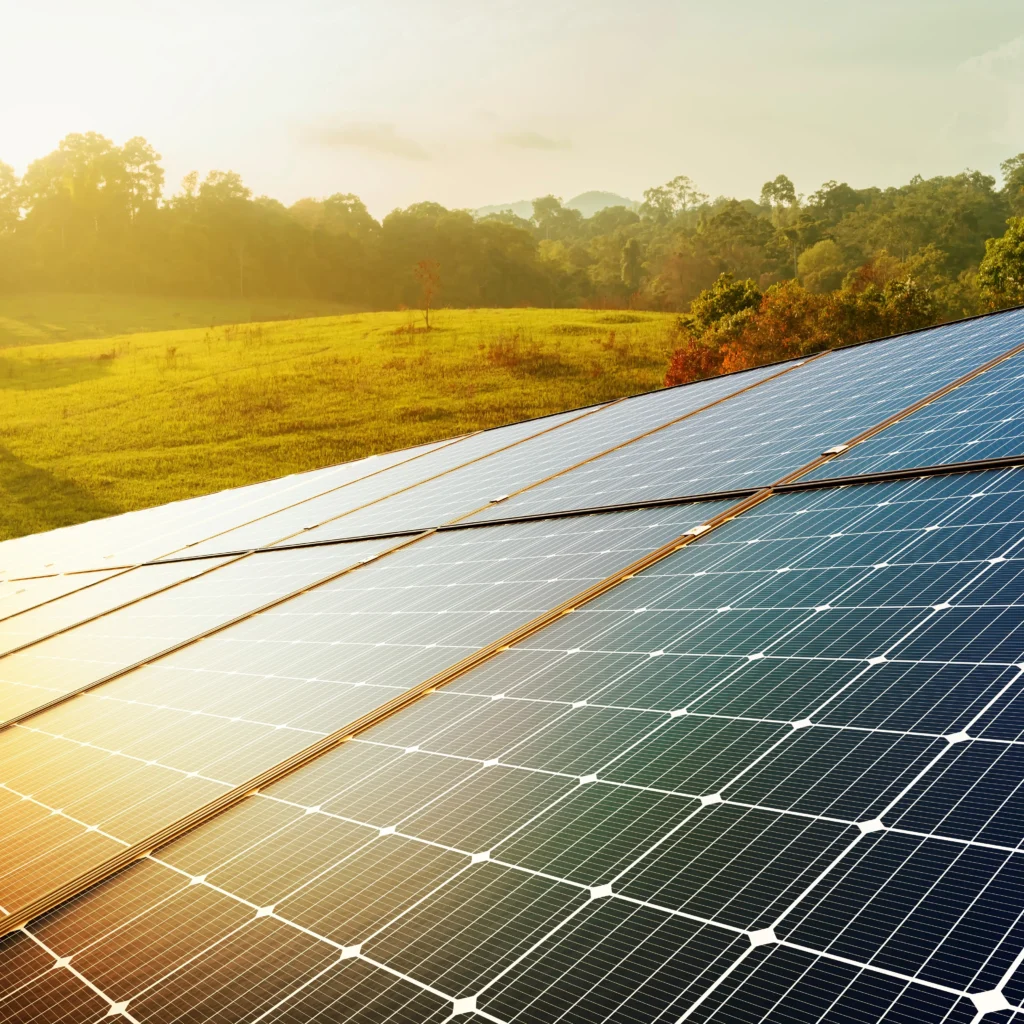 Reihen von Sonnenkollektoren im Sonnenlicht, eingebettet in eine ländliche Landschaft mit grasbewachsenen Feldern, Bäumen und Hügeln im Hintergrund, die die Nutzung erneuerbarer Energien in der Natur veranschaulichen.